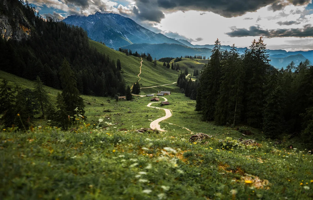 Wanderweg in den Alpen